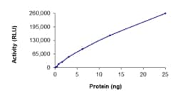 Sino Biological&nbsp;Recombinant Human TFG & MET Protein (GST Tag), Active